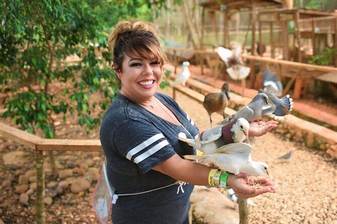 Jamwest Negril Zipline and JamCulture Combo - FAQ: Common Questions Answered