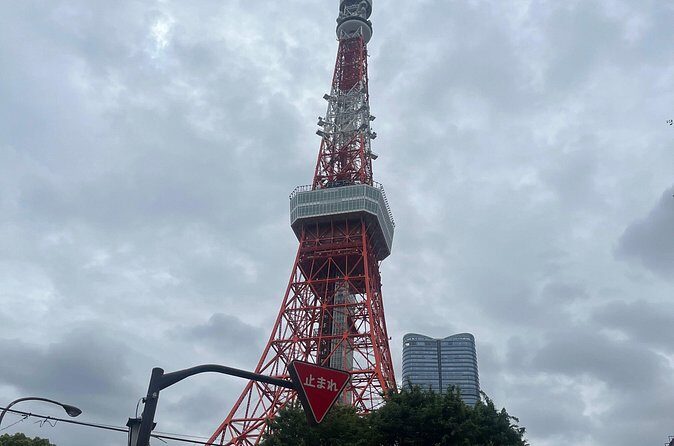 Japan 7 Days Tour - Who Is This Tour Best For?