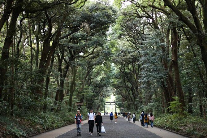 Japan Discovery Tour (12 Days) - Scenic Day in Hakone and Mount Fuji