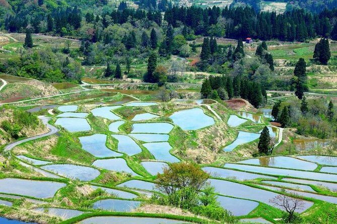 Japan Discovery Tour (12 Days) - Kyoto’s Temples, Shrines, and Geisha Districts