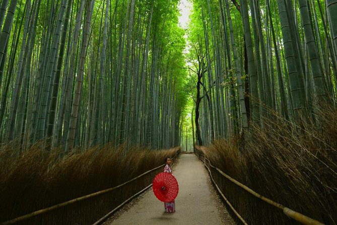 Japan Discovery Tour (12 Days) - Nara’s Deer and Spiritual Landmarks