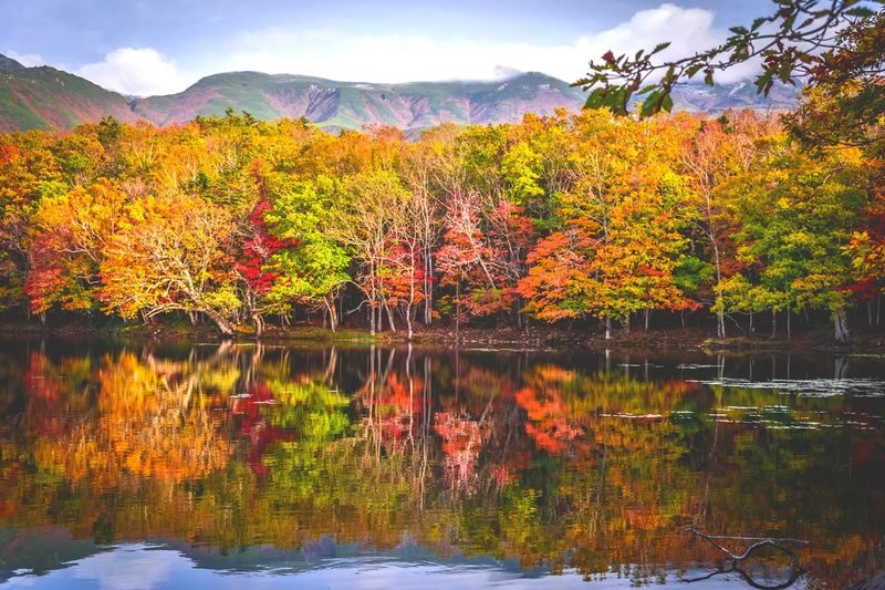 Japan, Hokkaido | Eastern Hokkaido Chartered Car Tour: Abashiri - Shiretoko Utoro Customized 5/7-Hour Chartered Car | Flexible Itinerary - Winter roads, timing, and the small print