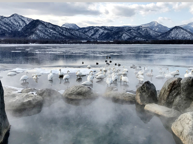 Japan Hokkaido | Eastern Hokkaido Private Car Tour: Kushiro & Lake Akan Customized 5/7-Hour Private Car Charter | Flexible Itinerary - The price buys privacy, not admissions or meals