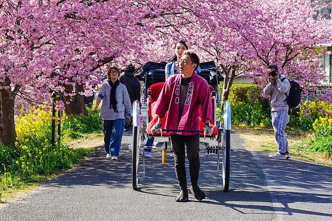 Japan Mini Group Tour from Tokyo - Key Points