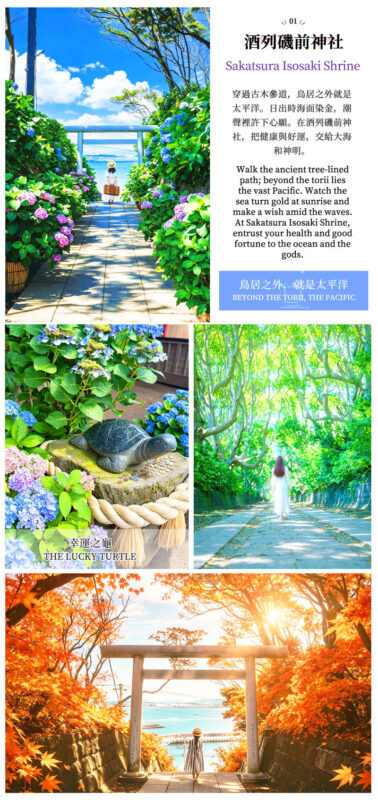 Japans Top 3 Illumination Shows: Ashikaga Flower Park & Ibaraki Ocean View Day Trip (Departing from Tokyo) - A day built around one bright finale