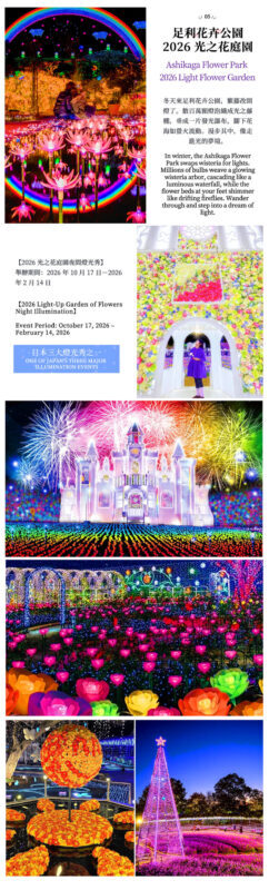 Japans Top 3 Illumination Shows: Ashikaga Flower Park & Ibaraki Ocean View Day Trip (Departing from Tokyo) - Food, dinner, and the Edo-style rest stop