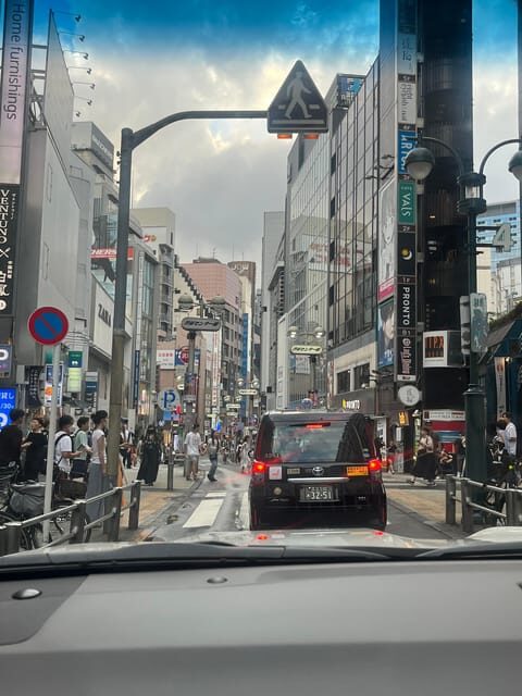 Japan: Tokyo and Countryside Private Tour with Guide - What You Can Expect from the Tour