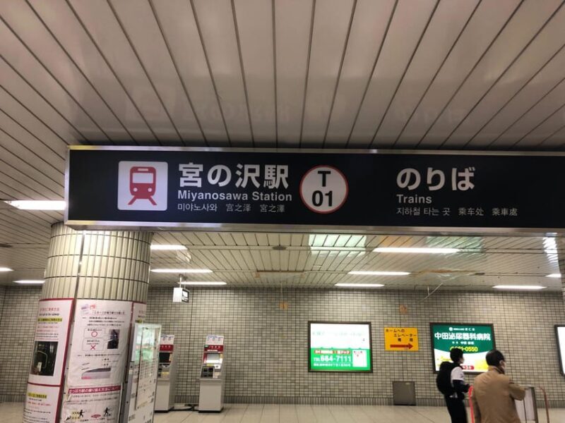 Japanese buckwheat noodle making experience in Sapporo,japan - Who Should Book This?