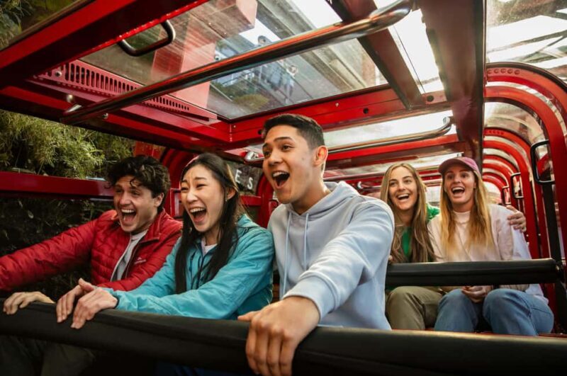 Japanese Tour from Sydney: Blue Mountains, Scenic World, Zoo - A Deep Dive into the Blue Mountains Tour Experience