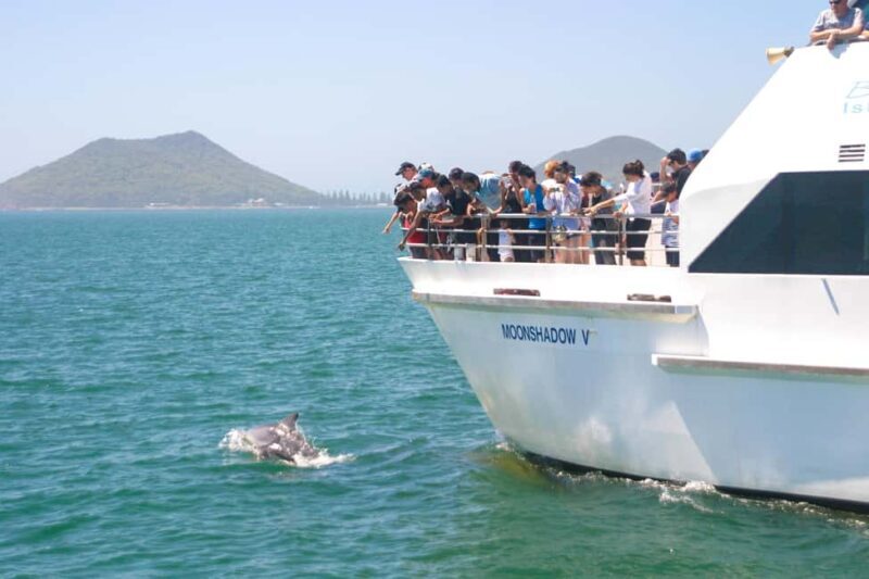 Japanese Tour: Port Stephens Dolphins, Koala & Sand Boarding - Final Thoughts