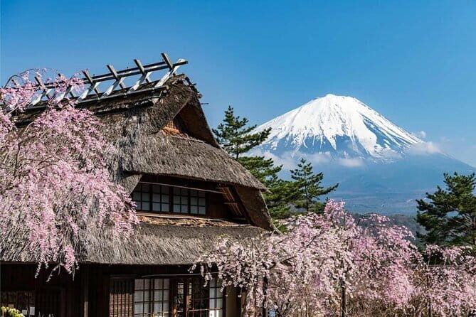 Japan's Best Mount Fuji Tour - A Deep Dive into the Tour Experience
