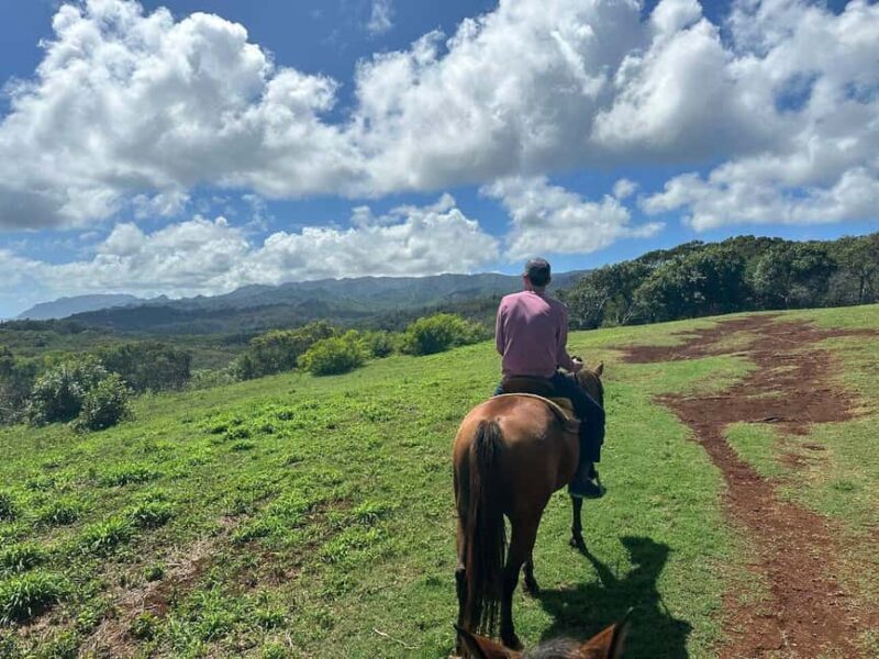 Jarabacoa: Private Baiguate Waterfall Horseback Riding Tour - Key Points