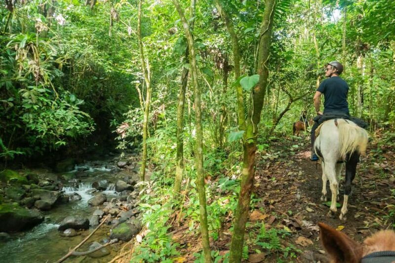 Jarabacoa: Private Baiguate Waterfall Horseback Riding Tour - Why This Tour Strikes a Chord