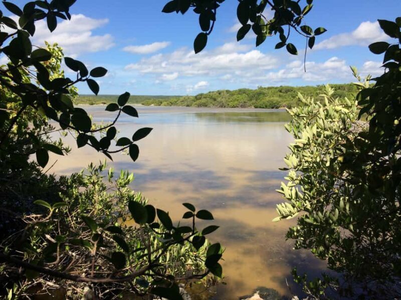 Jaragua National Park: Explore Laguna de Oviedo - Starting Point and Logistics