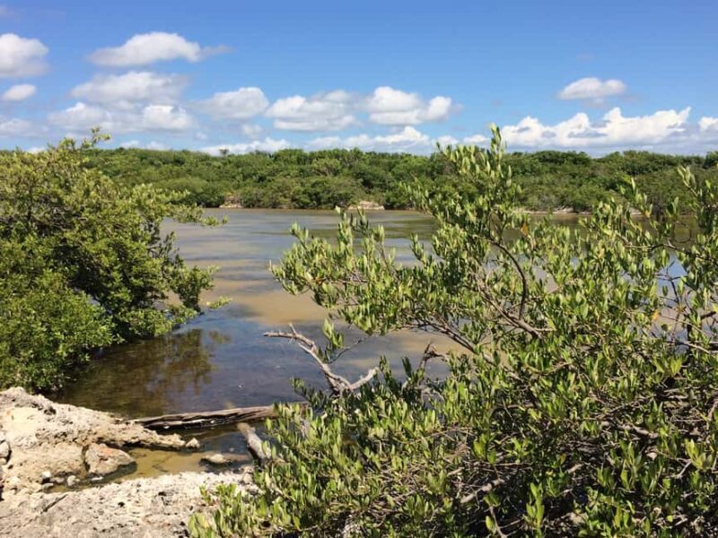 Jaragua National Park: Explore Laguna de Oviedo - The Outpost with Panoramic Views