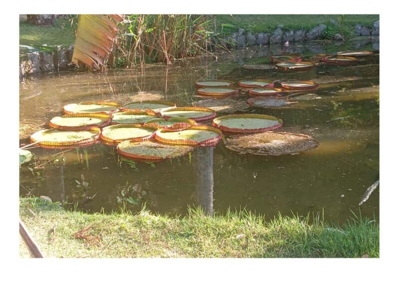 Jardim Botânico do Rio de Janeiro - Key Points