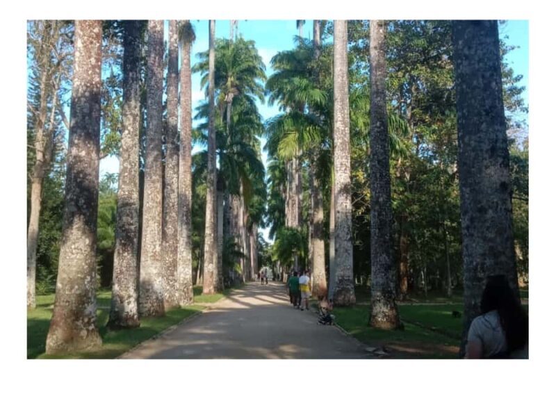Jardim Botânico do Rio de Janeiro - The Experience’s Value: Who Will Love It?