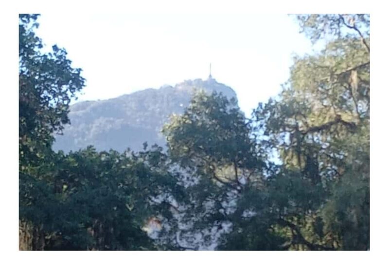 Jardim Botânico do Rio de Janeiro - Practical Tips for Visitors