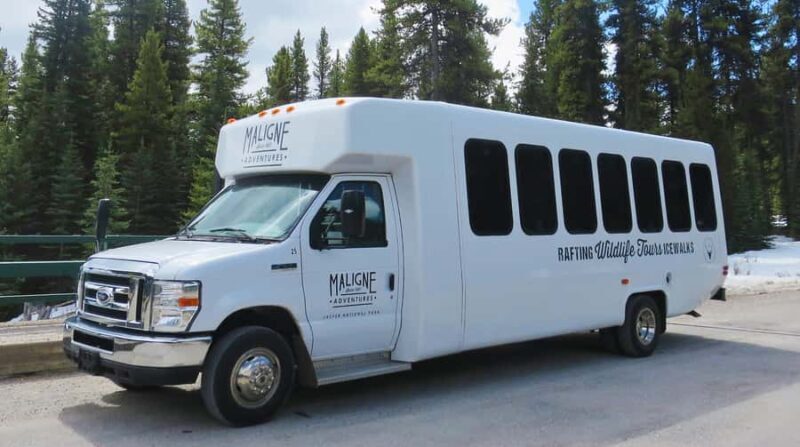 Jasper: Wildlife and Sightseeing Tour with Lakeshore Hike - Jasper: Wildlife and Sightseeing Tour with Lakeshore Hike