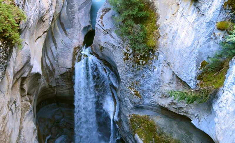 Jasper: Wildlife and Waterfalls Tour with Lakeshore Hike - Lakeshore Hike and the Scenic Beauty