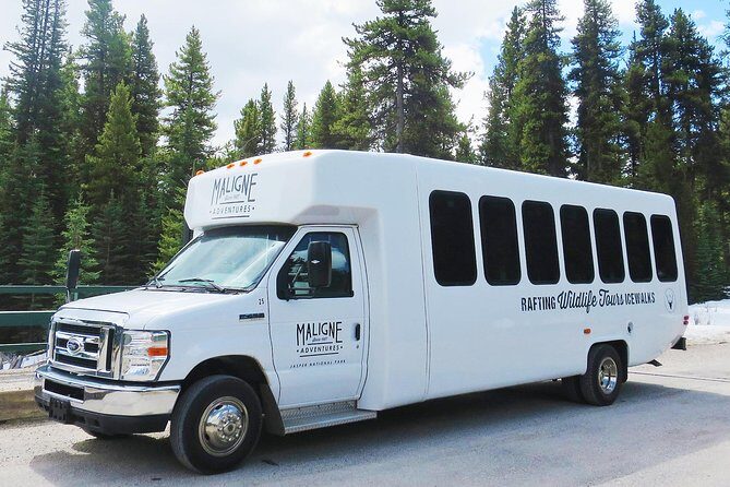 Jasper Wildlife and Waterfalls Tour with Maligne Lake Hike - Final Thoughts