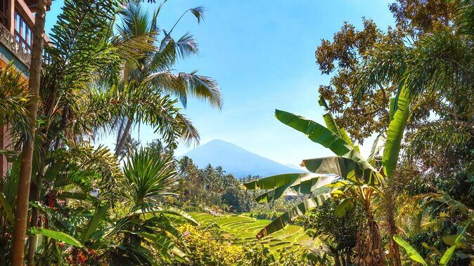 Jatiluwih Batukaru Mountain Nature's Best Tour - Discover Bali’s Hidden Gems with the Jatiluwih Batukaru Mountain Nature’s Best Tour
