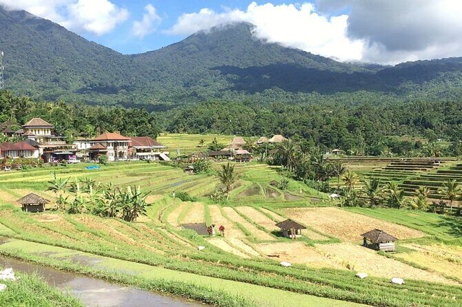 Jatiluwih Batukaru Mountain Nature's Best Tour - Final Thoughts