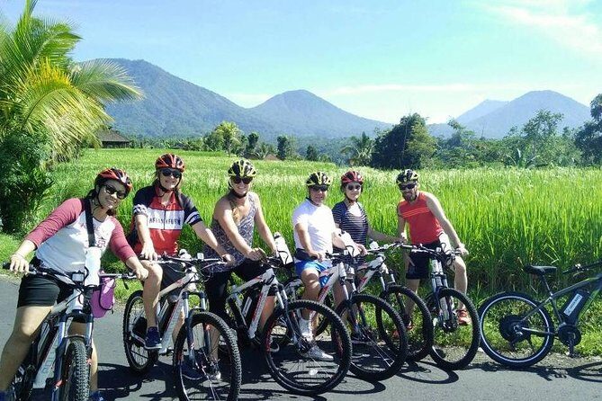 Jatiluwih in detail (1 h. e-bike tour in the rice terraces) - Who Will Love This Tour?