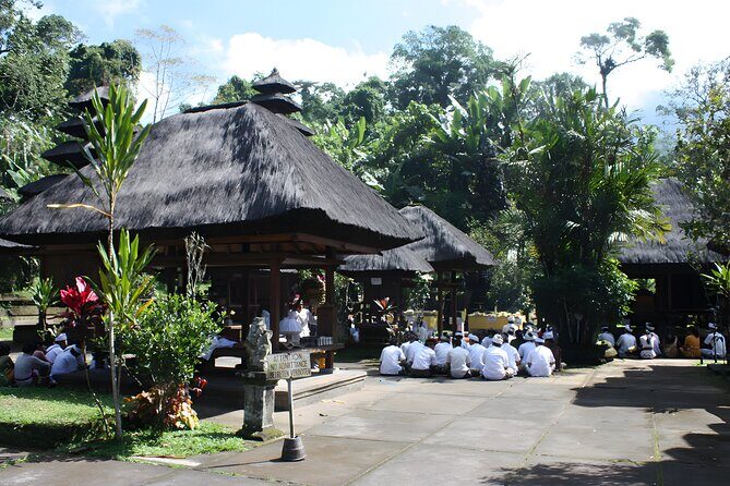 Jatiluwih VW Safari Bali Tour - Volkswagen Classic Car Trip - Important Practicalities