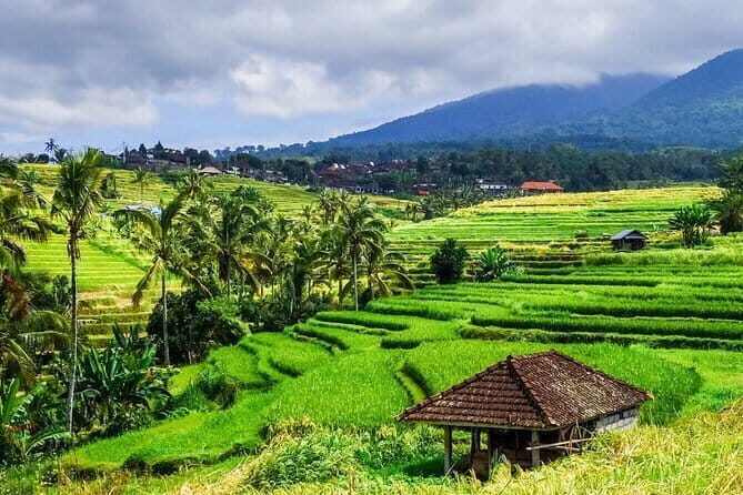 Jatiluwih's Rice Field Terraces: A Scenic Self-Guided Audio Tour - Key Points