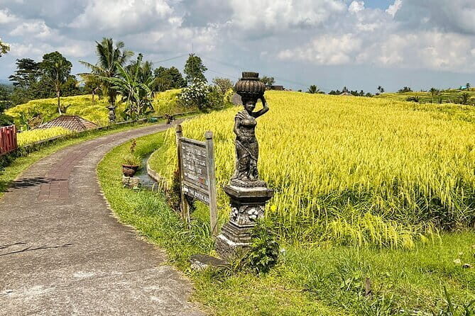 Jatiluwih's Rice Field Terraces: A Scenic Self-Guided Audio Tour - A Deep Dive into the Experience