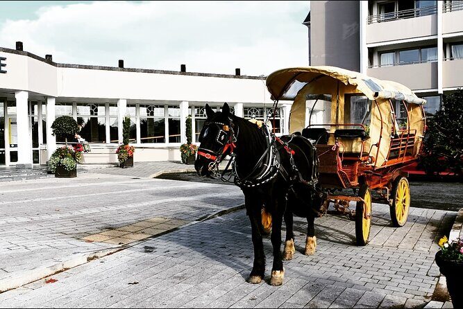 Jaunting Car Tour in Killarney National Park - An In-Depth Look at the Jaunting Car Experience in Killarney