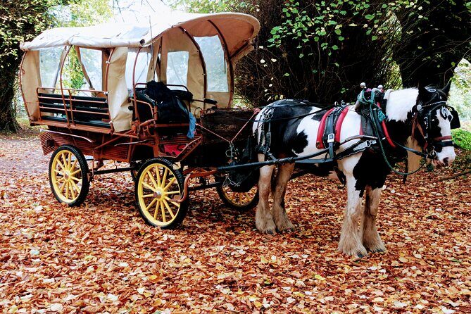 Jaunting Car Tour in Killarney National Park - The Sum Up: Is This Tour Worth Your Time?
