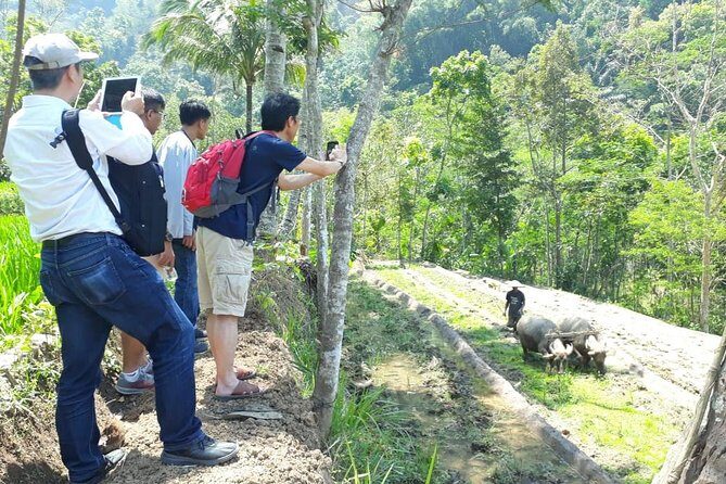 Java Village and Temple Tour from Borobudur - Key Points