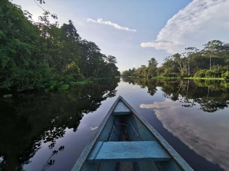 Javari Expedition - An In-Depth Look at the Javari Expedition