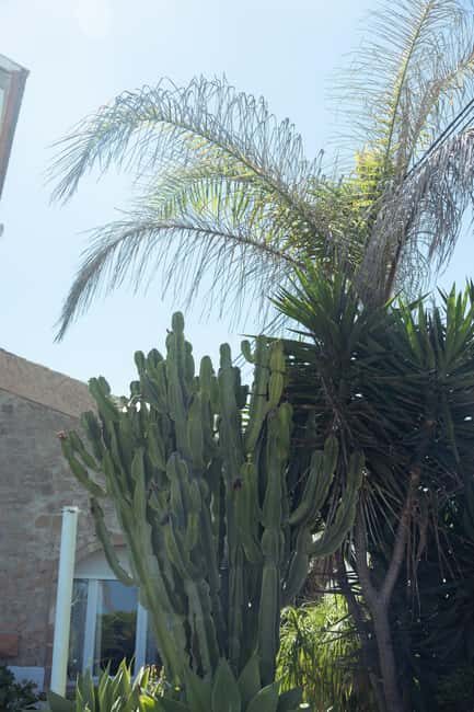 Jávea: 19/09 - Yoga & Brunch with Coffee/Tea, Juice & Cava - Why This Experience Is a Great Value
