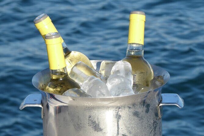 Jazz and Chill Out Cruise in Barcelona - The Sum Up: Who Should Consider This Experience?
