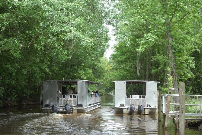 Jean Lafitte 90-Minute Swamp and Bayou Boat Tour - Practical Tips for Your Swamp Adventure