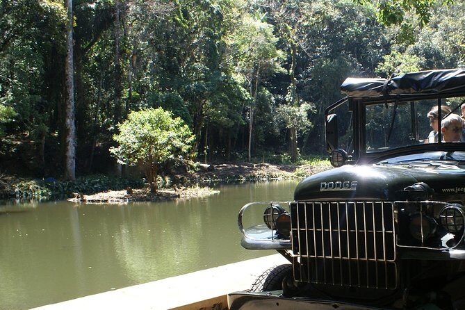 Jeep Adventure: Guided Tour through Tijuca Rain Forest - An In-Depth Look at the Tijuca Rainforest Jeep Tour