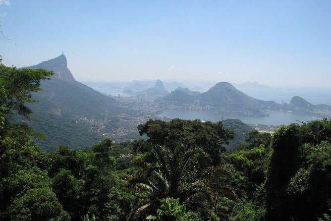 Jeep Adventure: Guided Tour through Tijuca Rain Forest - The Sum Up
