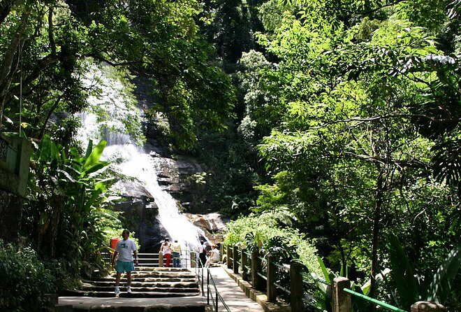 Jeep Adventure: guided tour through Tijuca Rain Forest - Evaluating the Value