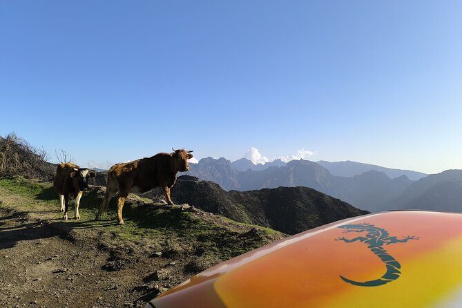 Jeep Adventure to Volcanic Pools & UNESCO Forest Treasures - FAQs