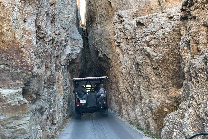 JEEP Bison Safari at Custer State Park - Family Friendly Prices - Key Points