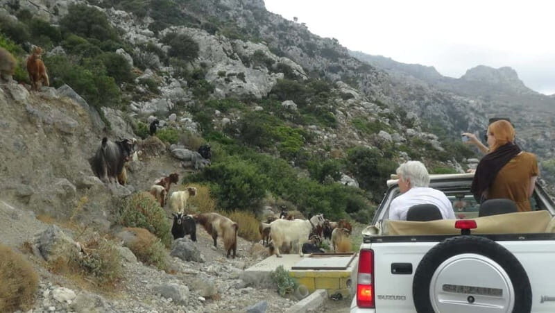 Jeep Driving Tour to Thripti Mountains and typical villages - Explore Crete’s Authentic Heart with a Jeep Driving Tour to Thripti Mountains and Typical Villages
