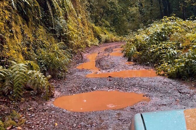 Jeep Safari 4x4 Madeira Pico areeiro, Santana, Ponta Sao Lourenço - Final Thoughts