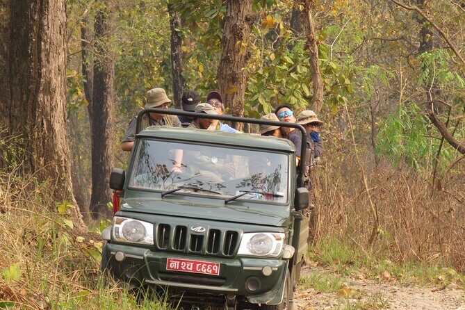 Jeep Safari (8-10 hrs., Private)inside Chitwan National Park. - Final Thoughts: Is It Worth It?