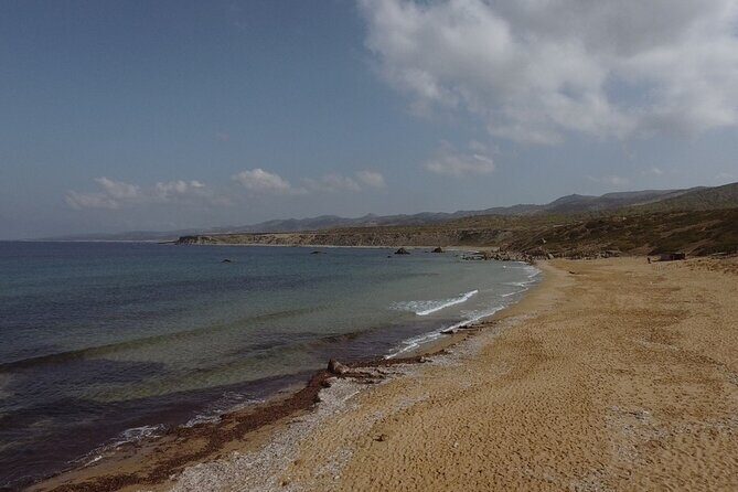 Jeep Safari Akamas from Paphos - A Deep Dive into the Jeep Safari Akamas Experience