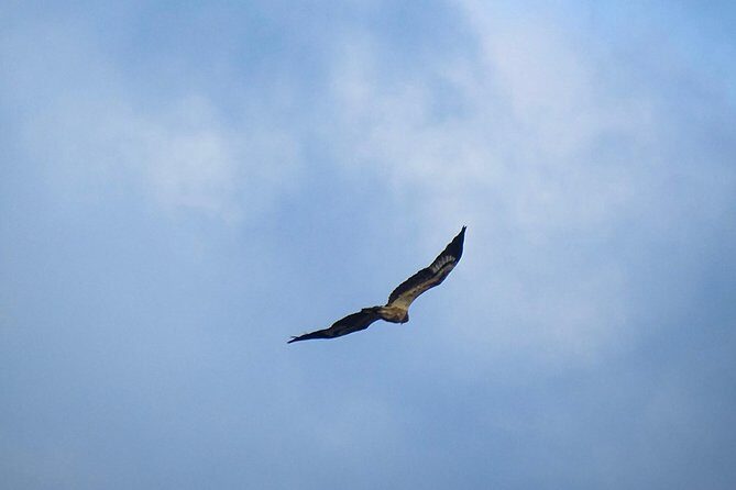 Jeep Safari at Kumana National Park - Final Word