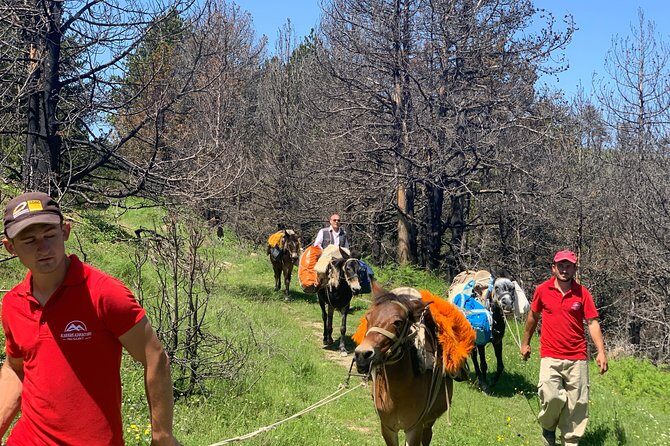 Jeep Safari Berat Hiking and picnic lunch in Tomori Holy Mount - Who Is This Tour Best For?