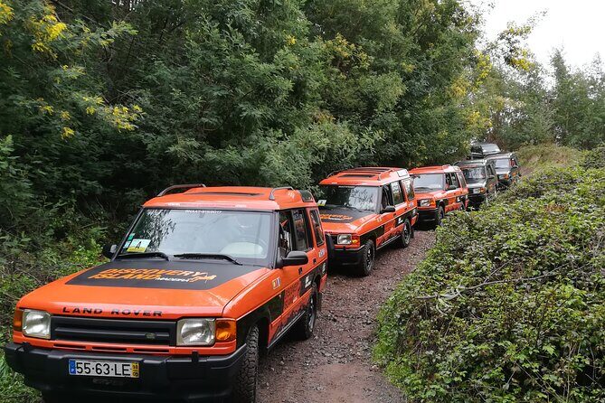 Jeep Safari Câmara de Lobos Cabo Girão Half Day Tour - The Sum Up